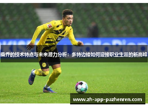 桑乔的技术特点与未来潜力分析：多特边锋如何迎接职业生涯的新高峰