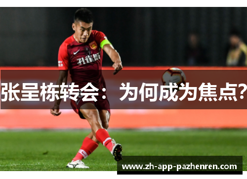 张呈栋转会：为何成为焦点？