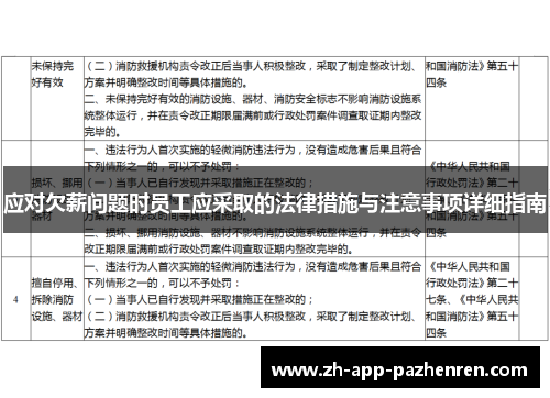 应对欠薪问题时员工应采取的法律措施与注意事项详细指南