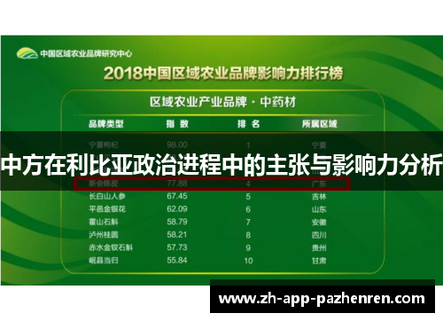 中方在利比亚政治进程中的主张与影响力分析