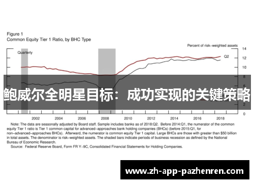 鲍威尔全明星目标:成功实现的关键策略