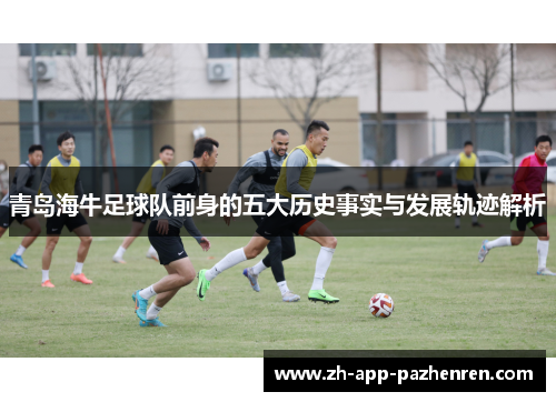 青岛海牛足球队前身的五大历史事实与发展轨迹解析