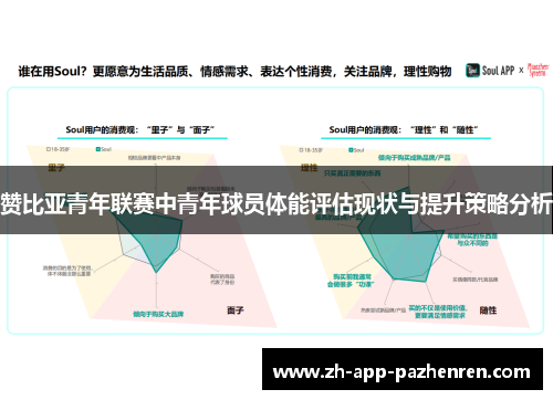 赞比亚青年联赛中青年球员体能评估现状与提升策略分析