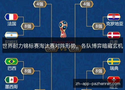 世界耐力锦标赛淘汰赛对阵形势，各队博弈暗藏玄机
